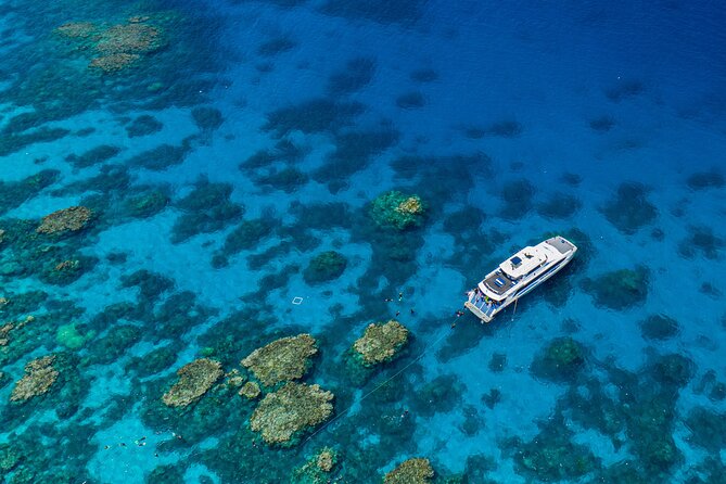 Silverswift Dive and Snorkel Great Barrier Reef Cruise - Key things to know before you book