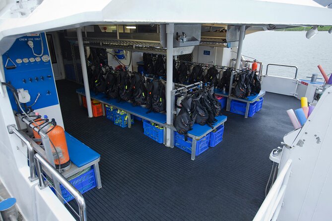 Silverswift Dive and Snorkel Great Barrier Reef Cruise - What the reef stops offer