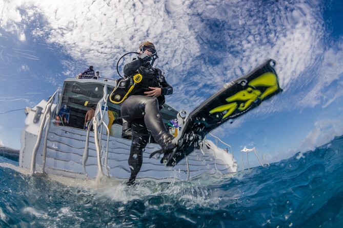 Silverswift Dive and Snorkel Great Barrier Reef Cruise - The crew and the beginner experience