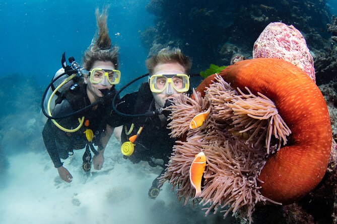 Silverswift Dive and Snorkel Great Barrier Reef Cruise - Price, extras, and what the day is worth