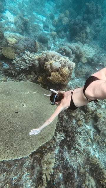 Siquijor: Jeepney Island Tour with Snorkeling - Paliton Beach gives the day a calm finish