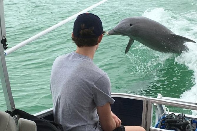 Small Group 2 Hour Dolphin Cruise with Snorkeling to Shell Key - A small boat makes the wildlife search more personal