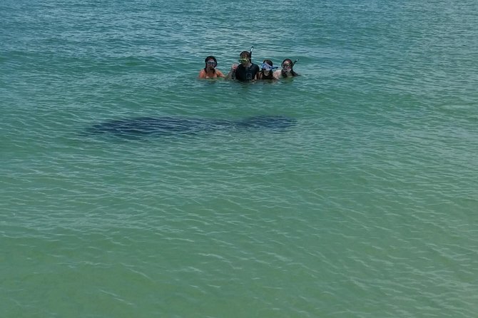 Small Group 2 Hour Dolphin Cruise with Snorkeling to Shell Key - Two hours is enough for a taste, not everything