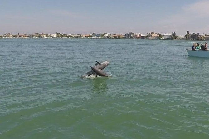Small Group 2 Hour Dolphin Cruise with Snorkeling to Shell Key - Who will enjoy this Shell Key cruise most?