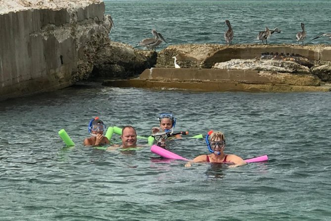 Small Group 2 Hour Dolphin Cruise with Snorkeling to Shell Key - Boca Ciega Bay is where the search begins