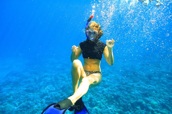 Small Group Coral Gardens Snorkel & Waterslide Adventure - The slide is fun, but take it seriously
