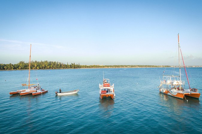 Small-Group Cruising and Snorkeling Catamaran Tour - Slide, diving board, and paddleboard time