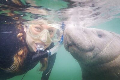Small Group Manatee Snorkel Tour with In-Water Guide and Photographer