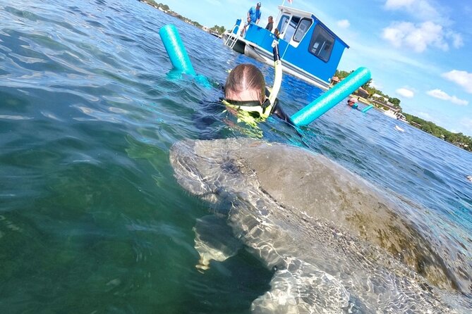 Small Group Manatee Snorkel Tour with In-Water Guide and Photographer - Underwater Photos and Videos