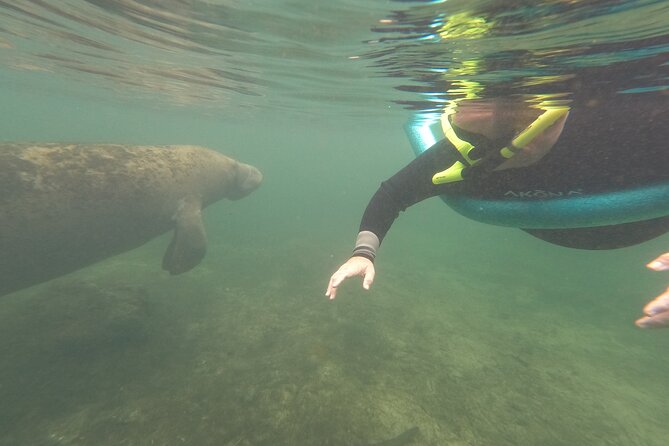 Small Group Manatee Snorkel Tour with In-Water Guide and Photographer - Is $89.99 a Fair Price?