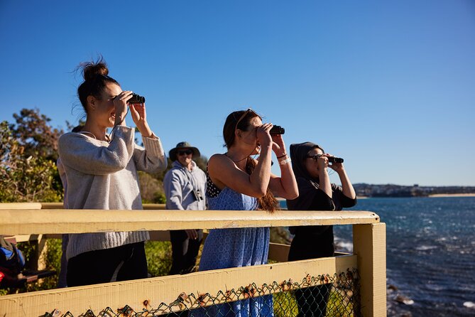 Small Group Manly Snorkel Tour and Nature Walk with Local Guide - One hour around seagrass, reef, and sand