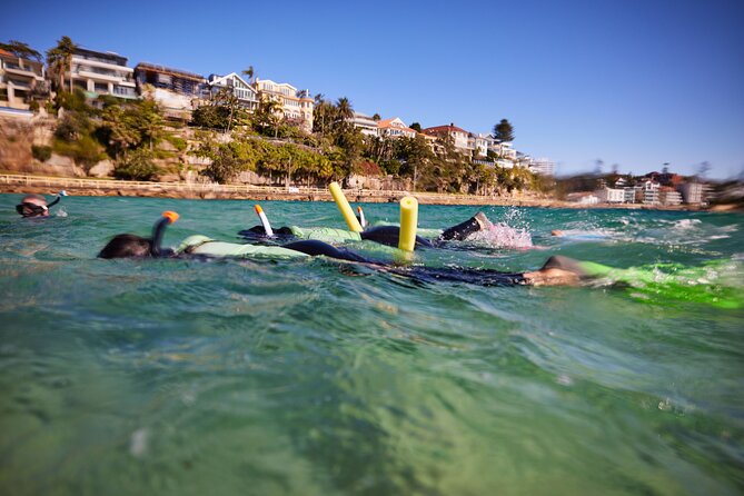 Small Group Manly Snorkel Tour and Nature Walk with Local Guide - Timing, weather, and what to bring