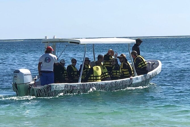 Small-Group Mesoamerican Barrier Reef Snorkeling in Puerto Morelos - Guides who help beginners feel at ease