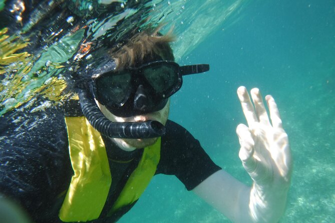 Small-Group Mesoamerican Barrier Reef Snorkeling in Puerto Morelos - Who should book this reef outing