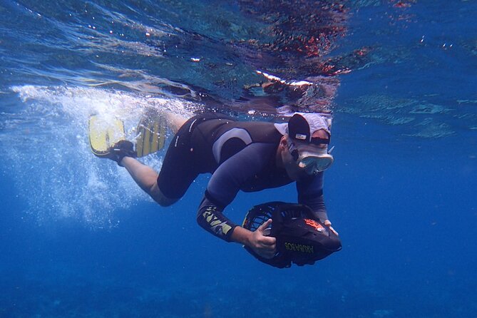 Small-Group Sea Scooters Snorkel at Mangel Halto Beach in Aruba - Starting at Aruba Bob in Savaneta