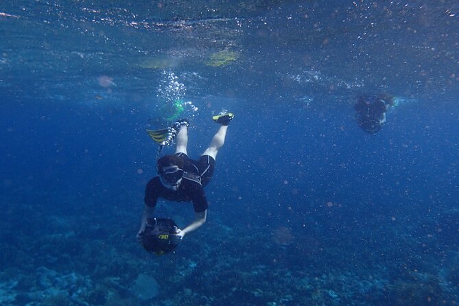 Small-Group Sea Scooters Snorkel at Mangel Halto Beach in Aruba - Following the mile-long Mangel Halto reef loop