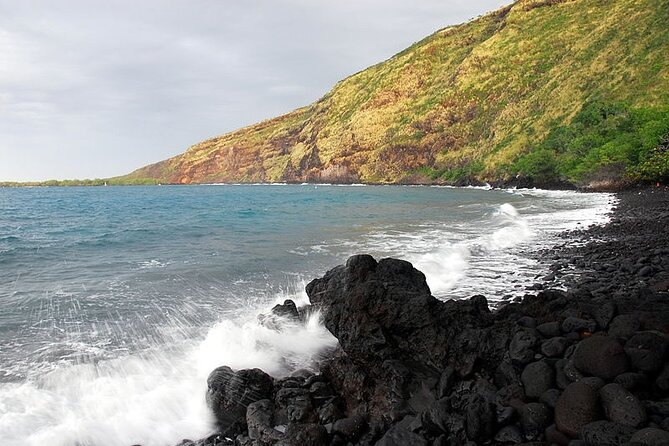 Small-Group Snorkel at Kealakekua Bay in Captain Cook, Big Island - Wildlife sightings: wonderful extras, not guarantees