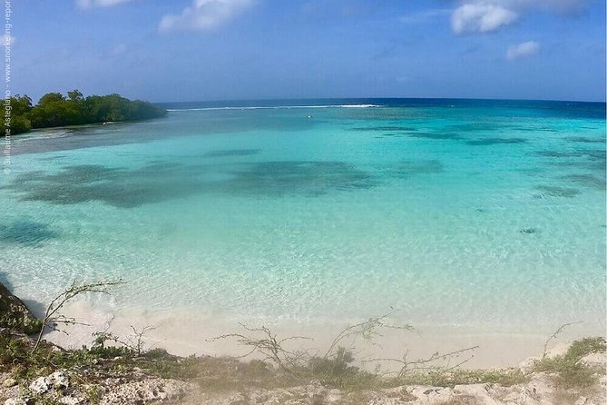 Small Group Snorkeling at Mangel Halto Aruba - Key points before you book