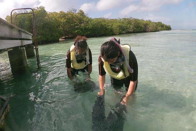Small Group Snorkeling at Mangel Halto Aruba - The Kappel shipwreck adds a clear target