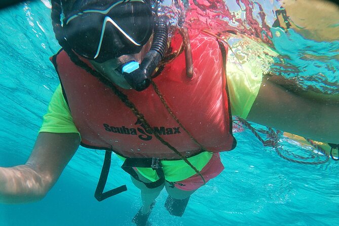 Small Group Snorkeling at Mangel Halto Aruba - Who will enjoy this most