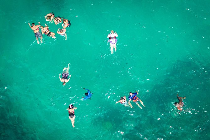 Small Group Snorkeling Cruise with Open Bar and Light Snacks - The slide, swimming, and a floating bar