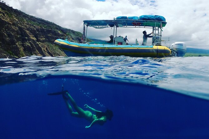 Small Group Snorkeling Expedition South Kona - Marine life you might see