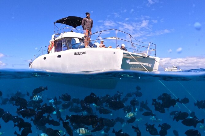 Small Group Turtle Canyon Snorkel in Waikiki (Boat Tour) - At a Glance: Six Guests, Turtles, and Waikiki Views