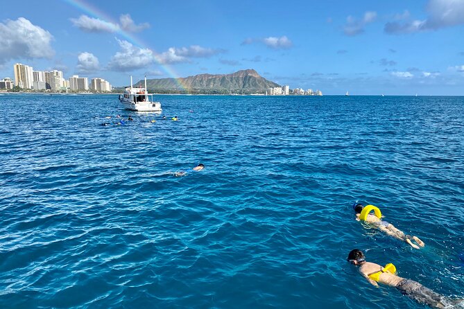 Small Group Turtle Canyon Snorkel in Waikiki (Boat Tour) - Why the Six-Person Limit Matters at Turtle Canyon