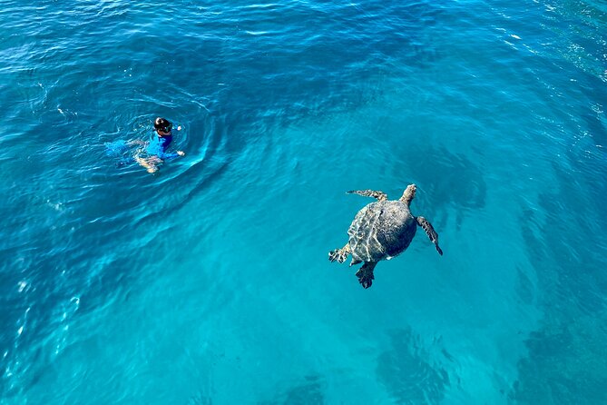 Small Group Turtle Canyon Snorkel in Waikiki (Boat Tour) - Waikiki Beach and Diamond Head From the Water