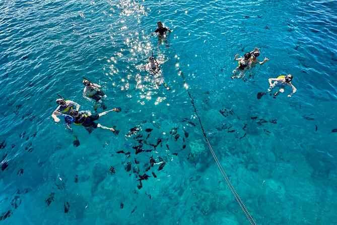 Small Group Turtle Canyon Snorkel in Waikiki (Boat Tour) - Leaving Ala Moana Harbor for the Waikiki Coast
