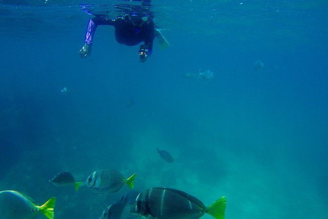Snorkel Adventure and Hike to a Hidden Beach - Beach chairs, shade, and the famous guacamole
