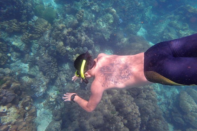 Snorkel Adventure Sea Tour to Koh Rok and Koh Haa from Koh Lanta - A Thai buffet on Koh Rok Nai