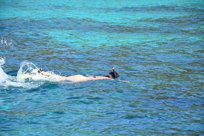 Snorkel Adventure Sea Tour to Koh Rok and Koh Haa from Koh Lanta - What the $55.41 price really covers