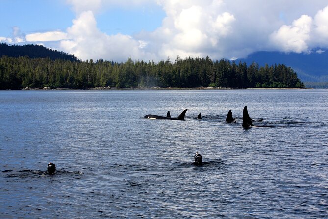 Snorkel Alaska - Getting dressed in a 7mm wetsuit