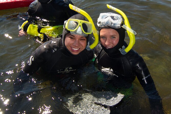 Snorkel Alaska - Is $209.99 a fair price?