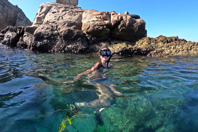 Snorkel and arch tour in los cabos - Meeting the boat at Cabo San Lucas Marina