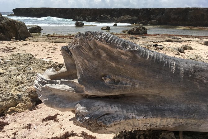 Snorkel and Beach Adventure Tour - Why this six-hour Curacao outing works