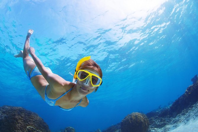 Snorkel and Beach Adventure Tour - Shete Boka, where Curacao meets the rough north coast