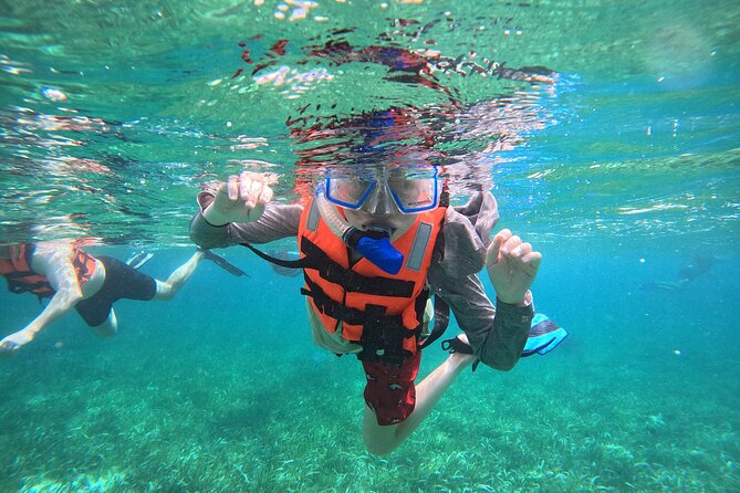 Snorkel at the Reef 2 HOURS Puerto Morelos National park - Key points at a glance