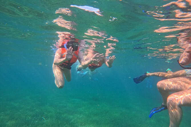 Snorkel at the Reef 2 HOURS Puerto Morelos National park - The one-hour water window