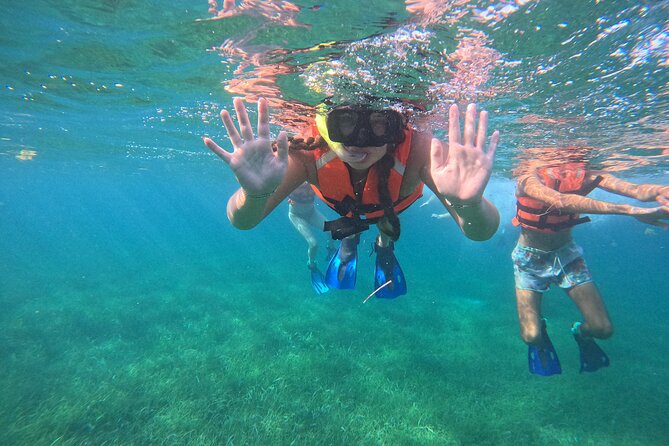 Snorkel at the Reef 2 HOURS Puerto Morelos National park - Getting there from Cancun