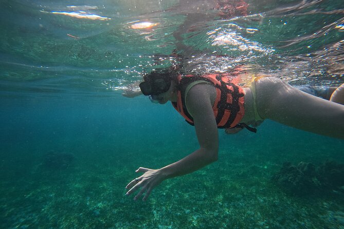 Snorkel at the Reef 2 HOURS Puerto Morelos National park - What you may see below the surface