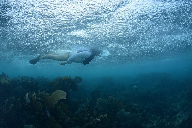 Snorkel, ATV, Zipline and Cenote Adventure from Cancun - Food, fees, lockers, and the real price