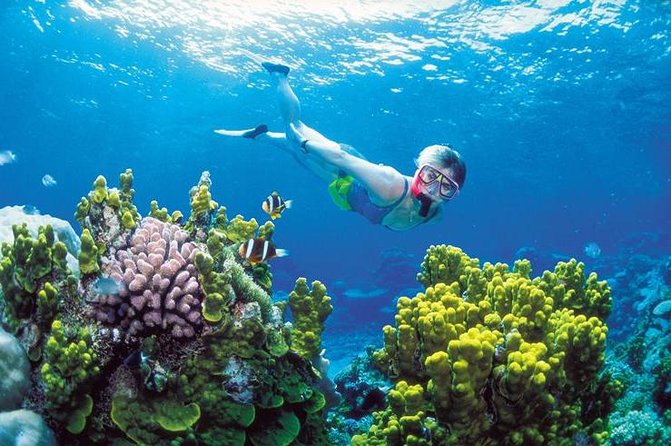 Snorkel, ATV, Zipline and Cenote Adventure from Cancun - Speedboats and the Puerto Morelos reef