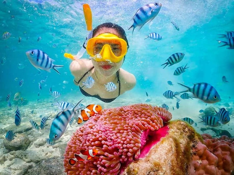 Snorkel & Chill: Nemo Island Trip from Pattaya - Key points to know before booking