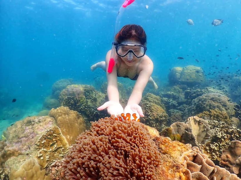 Snorkel & Chill: Nemo Island Trip from Pattaya - Pickup from Pattaya keeps the day simple