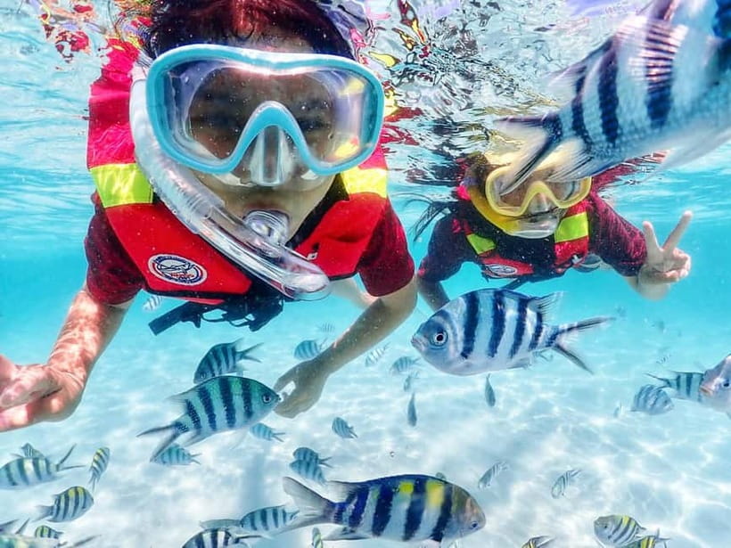 Snorkel & Chill: Nemo Island Trip from Pattaya - Should you book the Nemo Island trip?