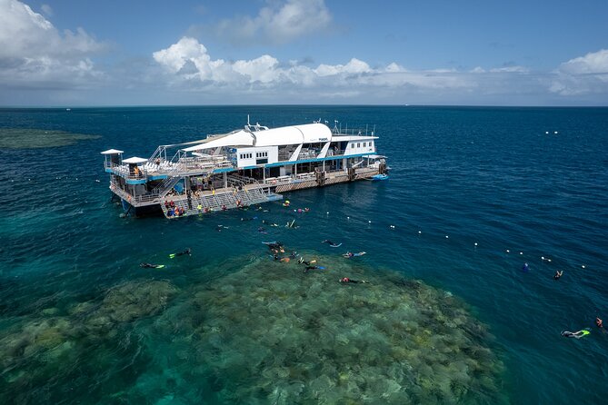 Snorkel & Dive the Reef: Sustainable, Scientific & Cultural Tour - Key points to know before you book