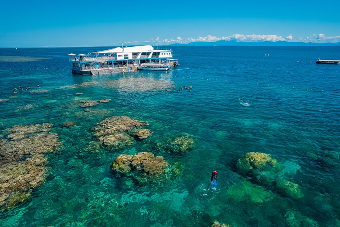 Snorkel & Dive the Reef: Sustainable, Scientific & Cultural Tour - A full day from Cairns to the outer reef