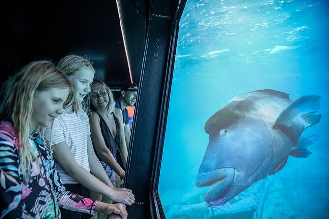 Snorkel & Dive the Reef: Sustainable, Scientific & Cultural Tour - Lunch, equipment, and time on the pontoon